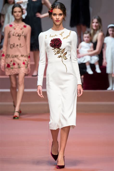 dolce and gabbana women's clothing